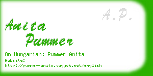 anita pummer business card